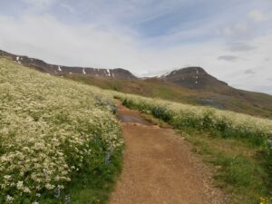 Mount Esja Trail - The ridge 