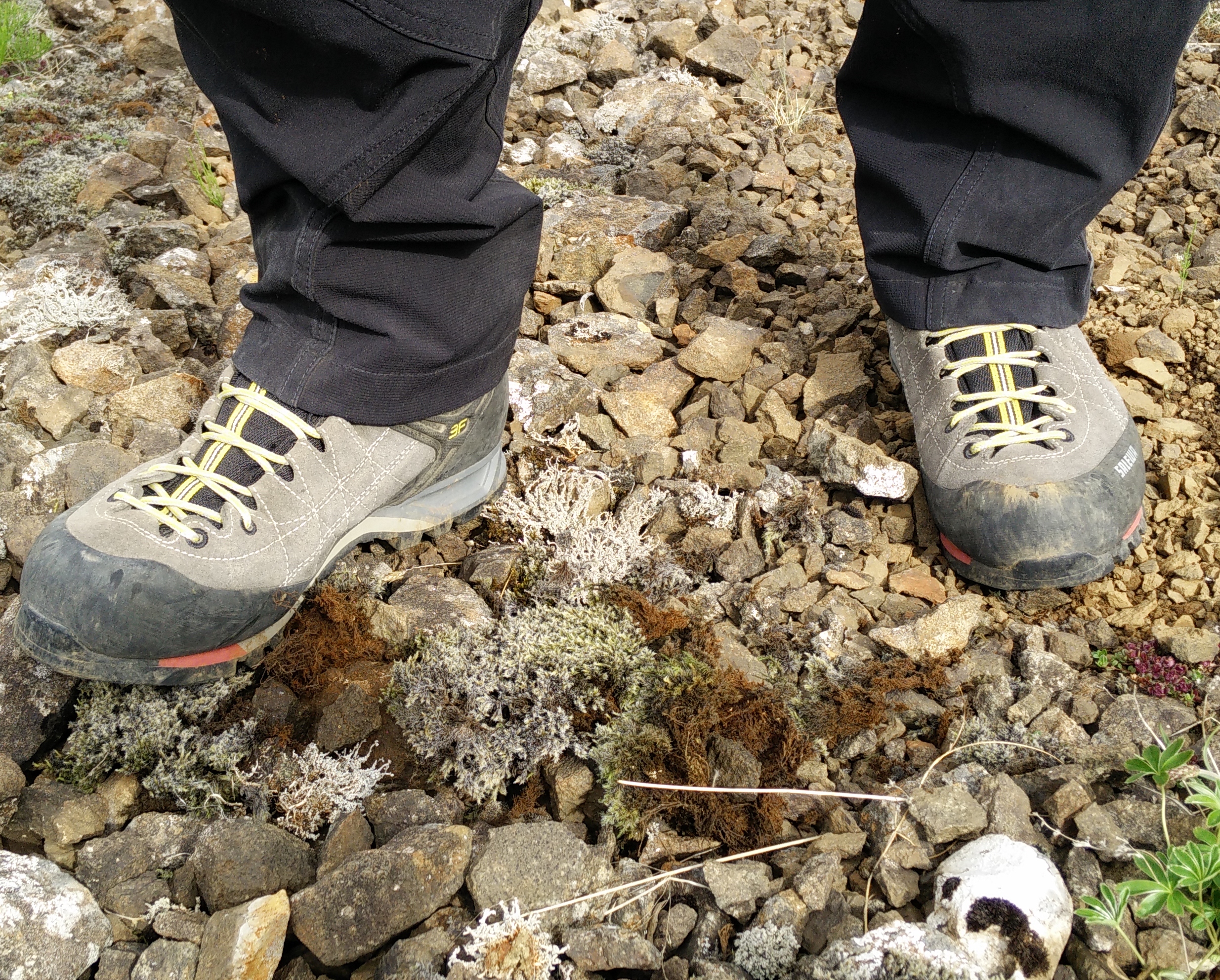 Salewa Mens Mountain GTX Trainers Gore-Tex Waterproof Vibram Shoes Trail Hiking 