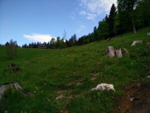 Begunjscica Trail - Glade and Mountain Hut