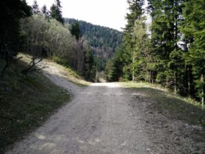 Moucherotte Trail - Here go left