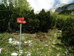 Vrh nad Skrbino Trail - Here go right
