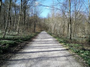 Moesgaard Strand Trail - On the way back