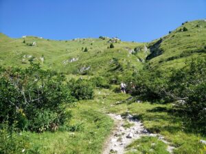 Batognica Trail - Ascending towards Krn