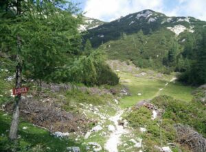 Ojstrica Trail - Here go towards Korosica