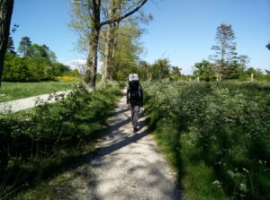 Agri Bavnehøj trail - walking along Mols Bjergevej