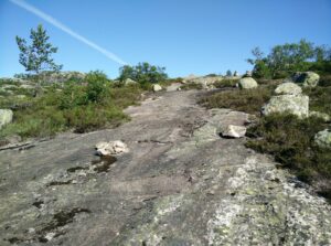 Reinstjønn Hiking Trail in Bortelid, Norway - when the path starts to get rocky