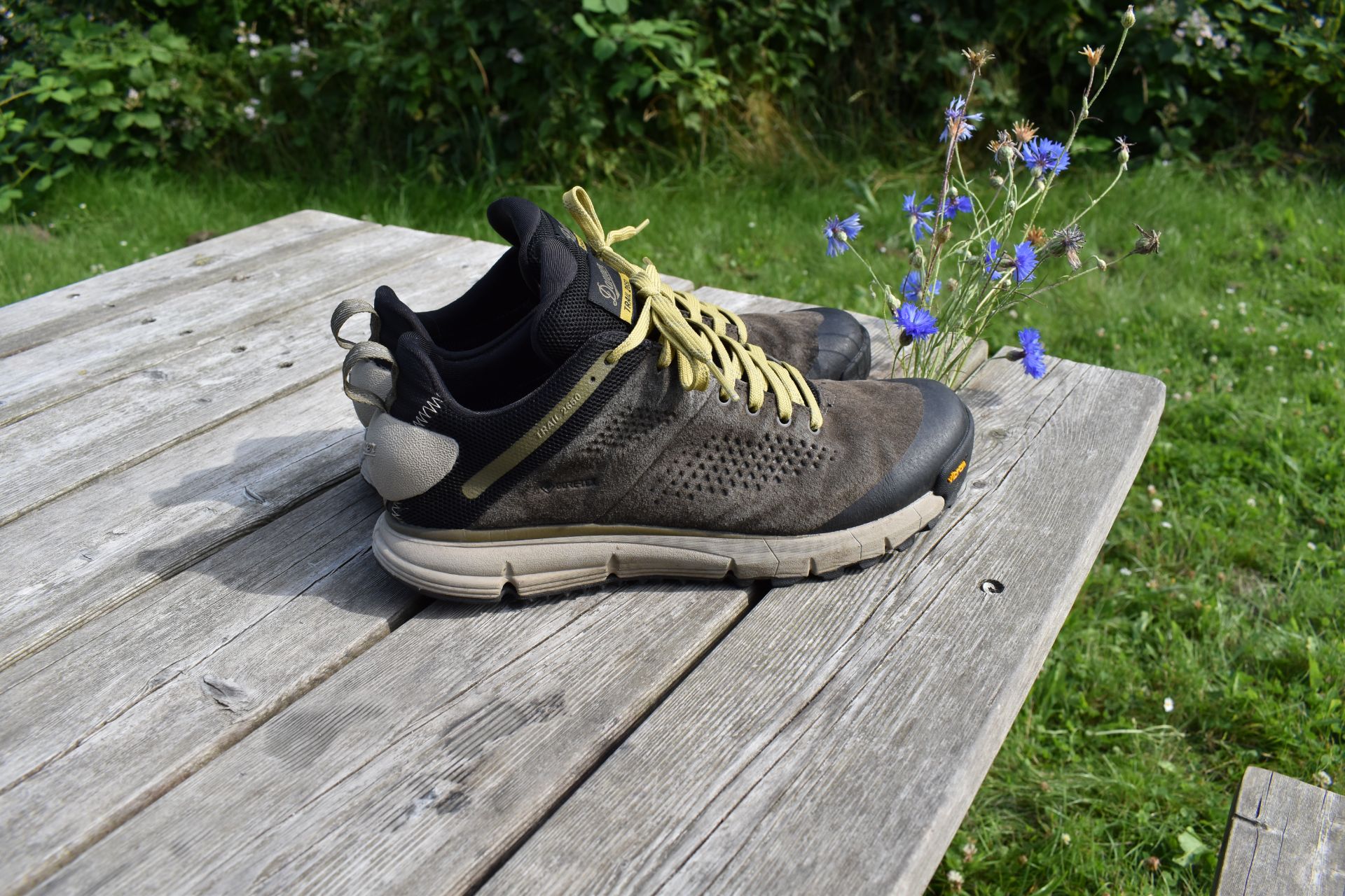 Danner Men's Trail 2650 3 Gore-Tex Hiking Shoe 