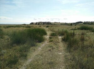 Samsø Nordby Bakker Trail - wide path on beach meadow