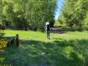 Råbjerg Mile Hiking Trail- continue straight ahead at crossroads