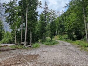 Logar Valley Hiking Trail - the dirt road splits into two