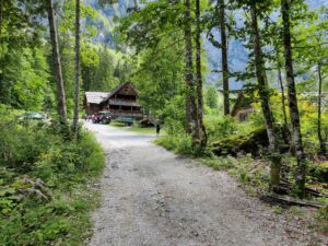 Logar Valley Hiking Trail - the path turns right just before the mountain hut Plansarija Logarski Kot